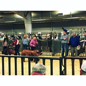 Meet your Posher, Allyson